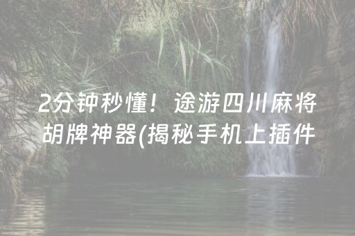 2分钟秒懂！途游四川麻将胡牌神器(揭秘手机上插件购买)