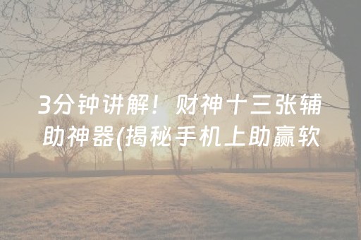 3分钟讲解！财神十三张辅助神器(揭秘手机上助赢软件)