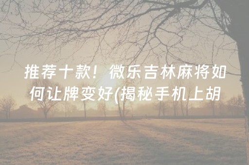 推荐十款！微乐吉林麻将如何让牌变好(揭秘手机上胡牌技巧)