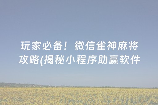 玩家必备！微信雀神麻将攻略(揭秘小程序助赢软件)