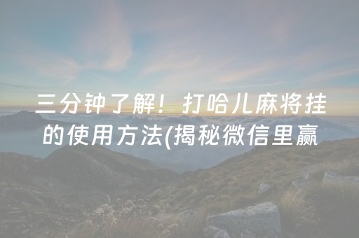 三分钟了解！打哈儿麻将挂的使用方法(揭秘微信里赢牌的技巧)