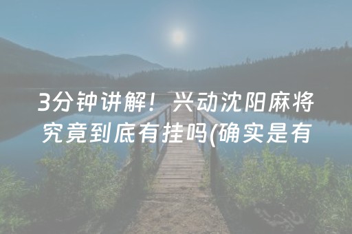 3分钟讲解！兴动沈阳麻将究竟到底有挂吗(确实是有挂)