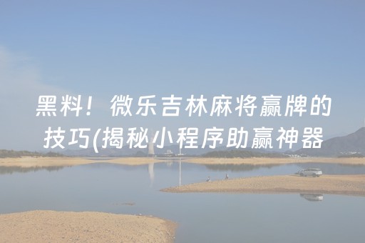 黑料！微乐吉林麻将赢牌的技巧(揭秘小程序助赢神器)