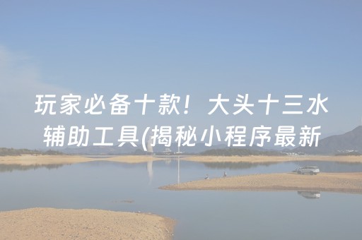 玩家必备十款！大头十三水辅助工具(揭秘小程序最新神器下载)