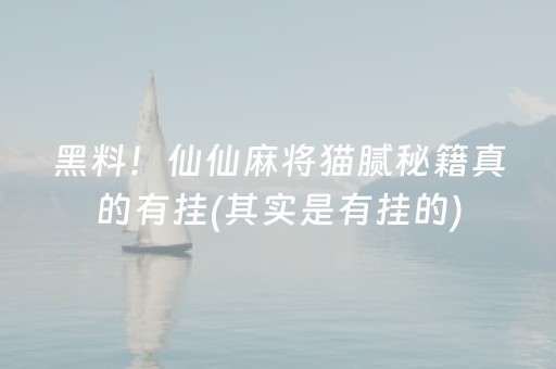 黑料！仙仙麻将猫腻秘籍真的有挂(其实是有挂的)