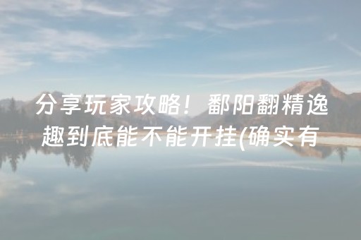 分享玩家攻略！鄱阳翻精逸趣到底能不能开挂(确实有挂吗)