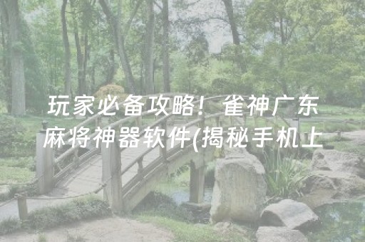 玩家必备攻略！雀神广东麻将神器软件(揭秘手机上提高赢的概率)