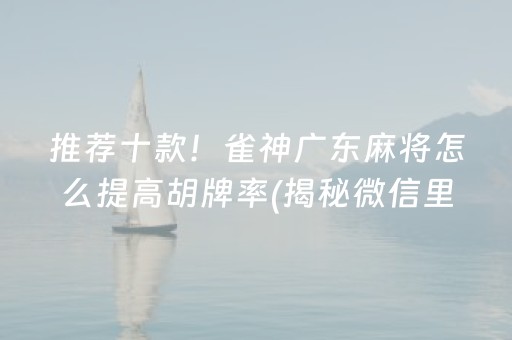 推荐十款！雀神广东麻将怎么提高胡牌率(揭秘微信里助手软件)