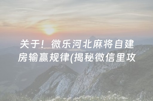 关于！微乐河北麻将自建房输赢规律(揭秘微信里攻略插件)