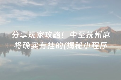 分享玩家攻略！中至抚州麻将确实有挂的(揭秘小程序确实有猫腻)