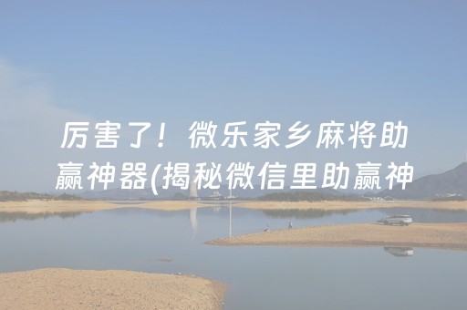 厉害了！微乐家乡麻将助赢神器(揭秘微信里助赢神器)