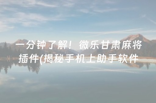 一分钟了解！微乐甘肃麻将插件(揭秘手机上助手软件)