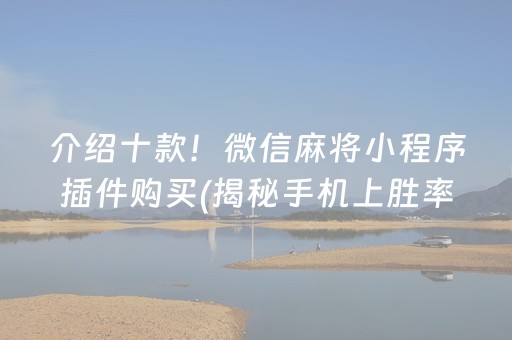介绍十款！微信麻将小程序插件购买(揭秘手机上胜率到哪调)