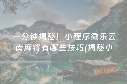 一分钟揭秘！小程序微乐云南麻将有哪些技巧(揭秘小程序输赢技巧)