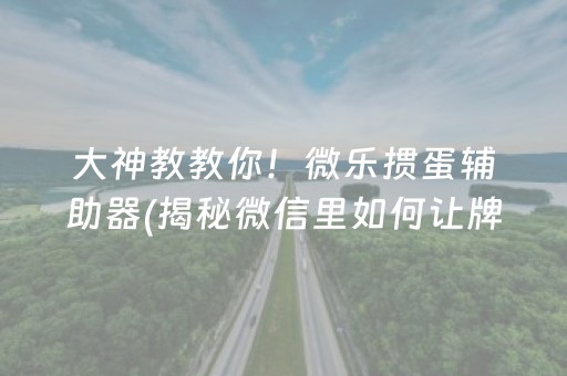 大神教教你！微乐掼蛋辅助器(揭秘微信里如何让牌变好)