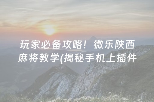 玩家必备攻略！微乐陕西麻将教学(揭秘手机上插件购买)