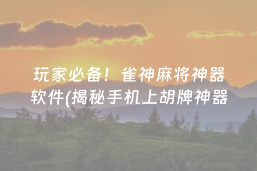 玩家必备！雀神麻将神器软件(揭秘手机上胡牌神器)