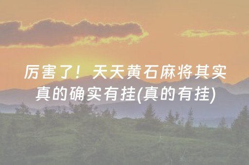厉害了！天天黄石麻将其实真的确实有挂(真的有挂)