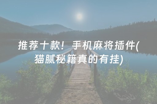 推荐十款！手机麻将插件(猫腻秘籍真的有挂)