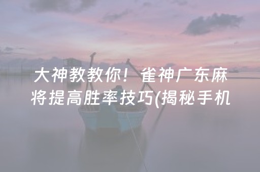 大神教教你！雀神广东麻将提高胜率技巧(揭秘手机上插件下载)