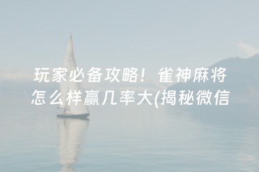 玩家必备攻略！雀神麻将怎么样赢几率大(揭秘微信里助赢神器购买)