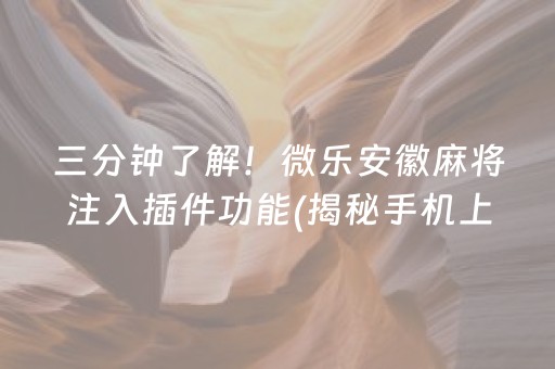 三分钟了解！微乐安徽麻将注入插件功能(揭秘手机上专用神器下载)