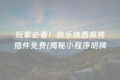 玩家必看！微乐陕西麻将插件免费(揭秘小程序胡牌神器)