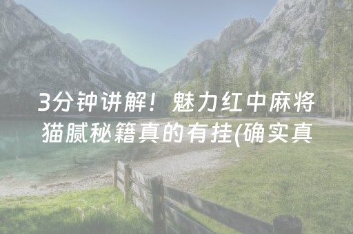 3分钟讲解！魅力红中麻将猫腻秘籍真的有挂(确实真有挂)