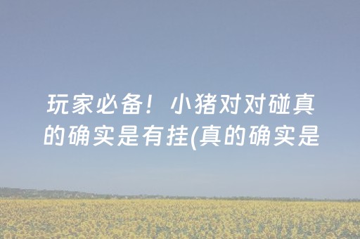 玩家必备！小猪对对碰真的确实是有挂(真的确实是有挂)