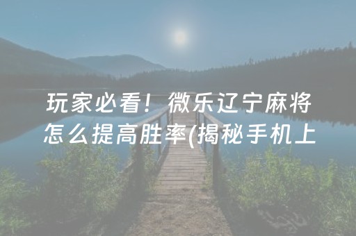 玩家必看！微乐辽宁麻将怎么提高胜率(揭秘手机上胡牌技巧)