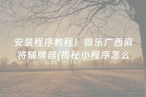 安装程序教程！微乐广西麻将辅牌器(揭秘小程序怎么容易赢)