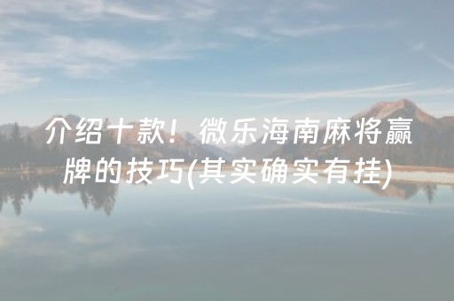 介绍十款！微乐海南麻将赢牌的技巧(其实确实有挂)