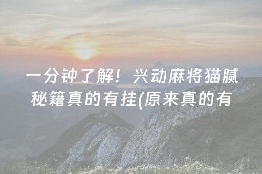 一分钟了解！兴动麻将猫腻秘籍真的有挂(原来真的有挂)