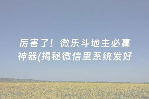 厉害了！微乐斗地主必赢神器(揭秘微信里系统发好牌)
