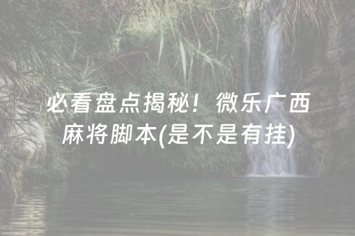 必看盘点揭秘！微乐广西麻将脚本(是不是有挂)