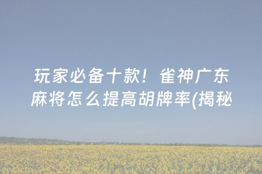 玩家必备十款！雀神广东麻将怎么提高胡牌率(揭秘手机上提高赢的概率)