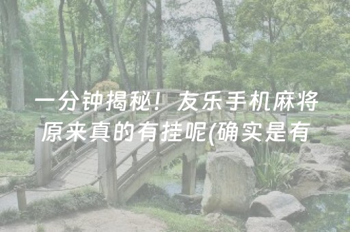 一分钟揭秘！友乐手机麻将原来真的有挂呢(确实是有挂)