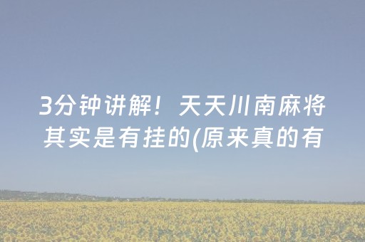 3分钟讲解！天天川南麻将其实是有挂的(原来真的有挂)