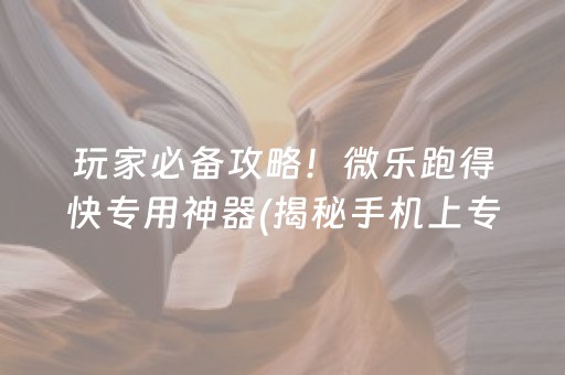 玩家必备攻略！微乐跑得快专用神器(揭秘手机上专用神器下载)