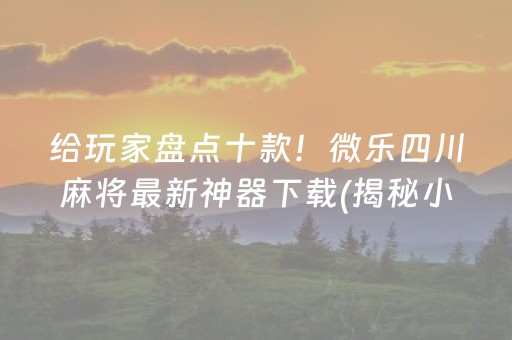 给玩家盘点十款！微乐四川麻将最新神器下载(揭秘小程序助赢神器)
