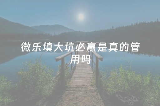 微乐填大坑必赢是真的管用吗（微乐填大坑怎么能赢钱）