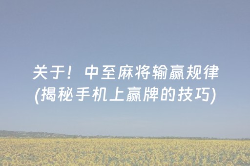关于！中至麻将输赢规律(揭秘手机上赢牌的技巧)