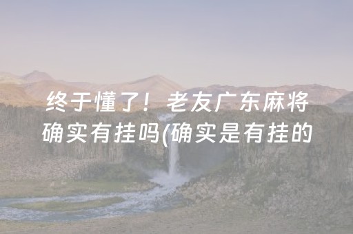 终于懂了！老友广东麻将确实有挂吗(确实是有挂的)