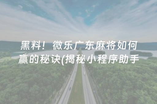 黑料！微乐广东麻将如何赢的秘诀(揭秘小程序助手软件)