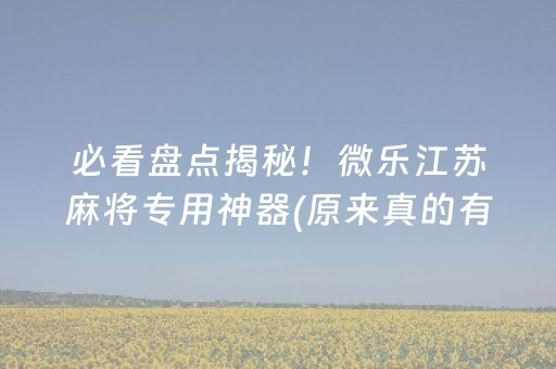 必看盘点揭秘！微乐江苏麻将专用神器(原来真的有挂呢)