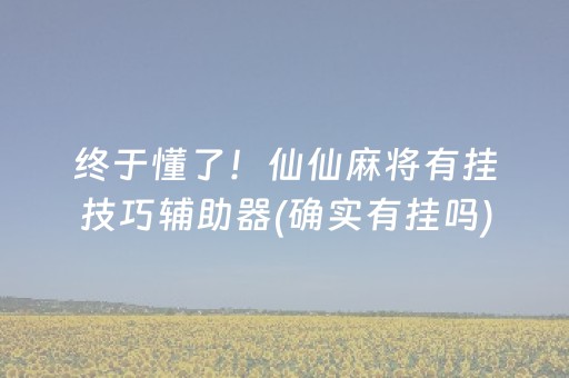 终于懂了！仙仙麻将有挂技巧辅助器(确实有挂吗)