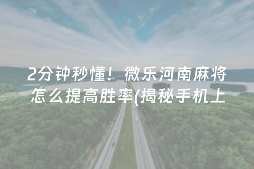 2分钟秒懂！微乐河南麻将怎么提高胜率(揭秘手机上攻略插件)
