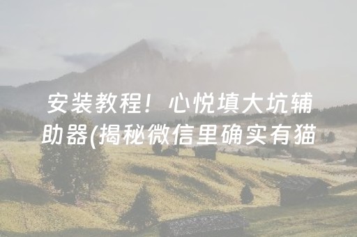 安装教程！心悦填大坑辅助器(揭秘微信里确实有猫腻)