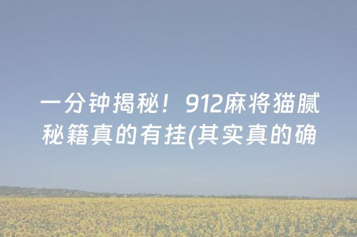 一分钟揭秘！912麻将猫腻秘籍真的有挂(其实真的确实有挂)