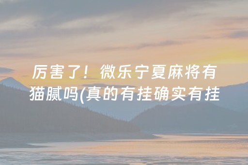 厉害了！微乐宁夏麻将有猫腻吗(真的有挂确实有挂)